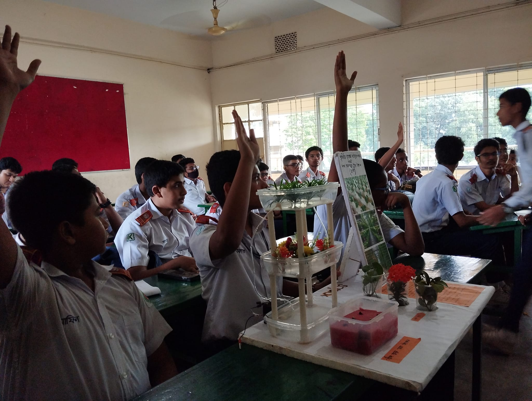 Activity 41