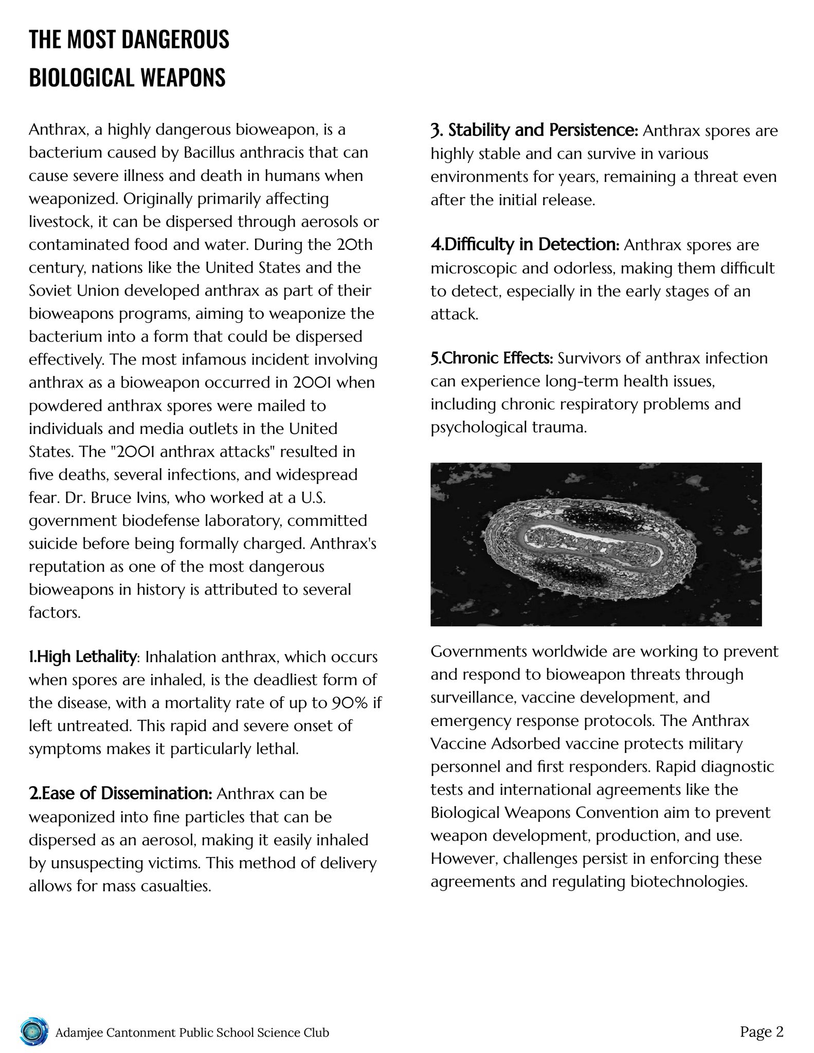 Activity Image 2