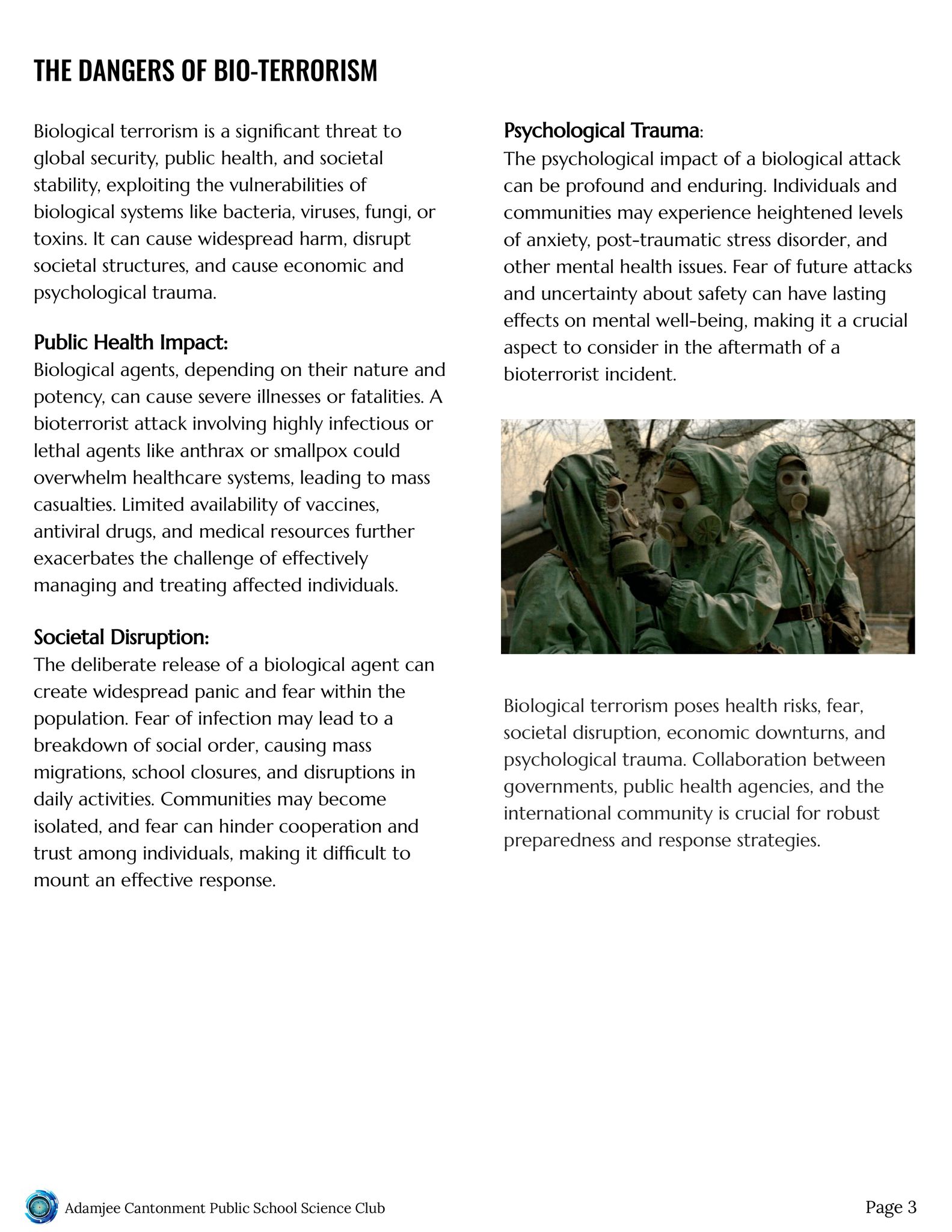 Activity Image 3