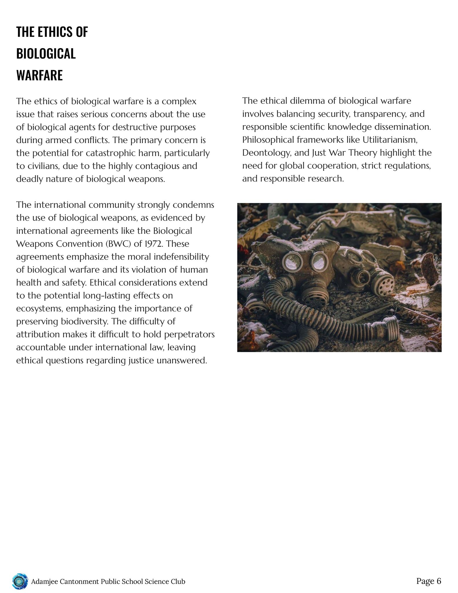 Activity Image 6