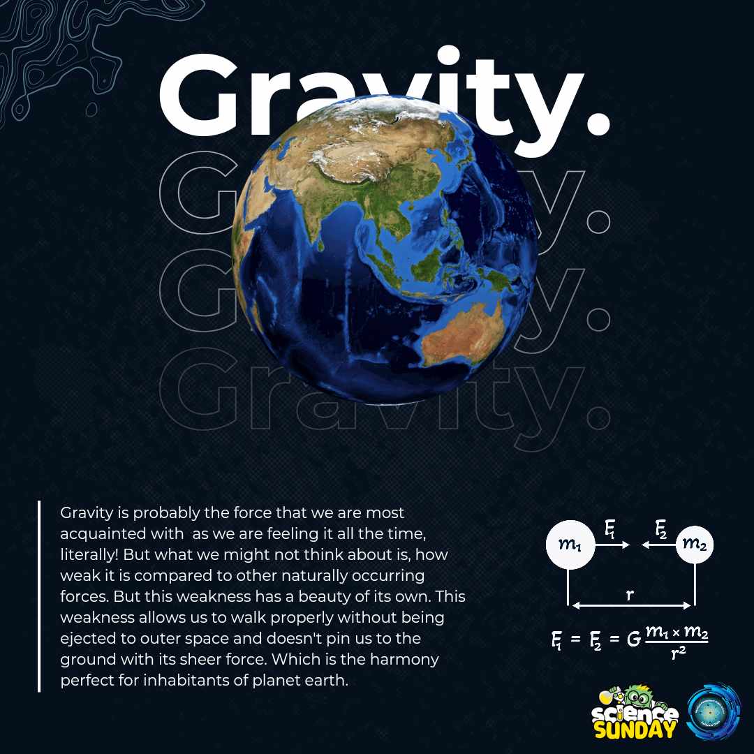 Activity 4
